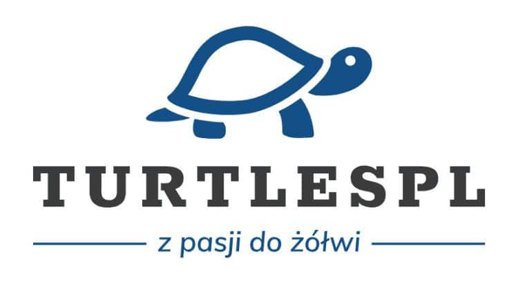 Zestaw dla zółwia